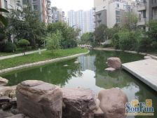 新装修,边户,光线好,客厅落地窗,因外地发展,诚售