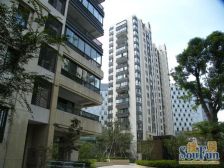 近地铁,家具全送 精装 通风好 热销好房