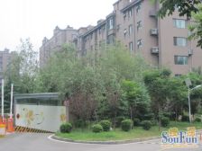 奢华100万装修 未住新房 50平院子跃层复式