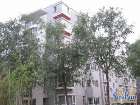 北苑路北,北苑路北地铁站