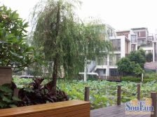 万科四季花城 近广州 带大露台 情景大洋房 户型实用