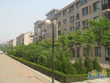 近北站多层洋房三楼精装修南向采光好一室一厅适合过渡