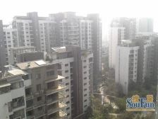 优品道一期 3室2厅 南