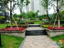 高楼层远眺山海,装修保持好,采光好,风景区天然氧吧