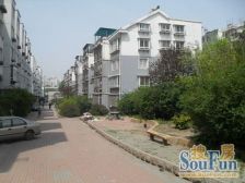 景润小区绿化好 低密度 配套齐全