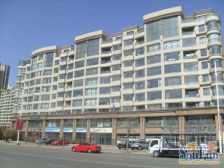 星海广场、两室看海房,价格可议。