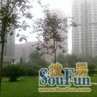 满五年唯一单位管理好精装修采光充足