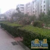 西交民巷62号院 1室1厅 南