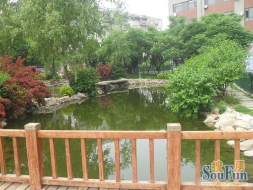 大有恬园1室1厅1卫南朝向1800.00元/月出租