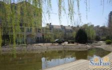 未来假日典藏边户大花园满五唯一