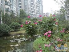 花园式小区 双气满五年 小高层带电梯 公摊小,户型好