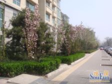 金融街高层改善三居视野开阔直接看国贸两梯三户