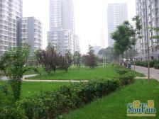 远洋山水 3室2厅 南 北