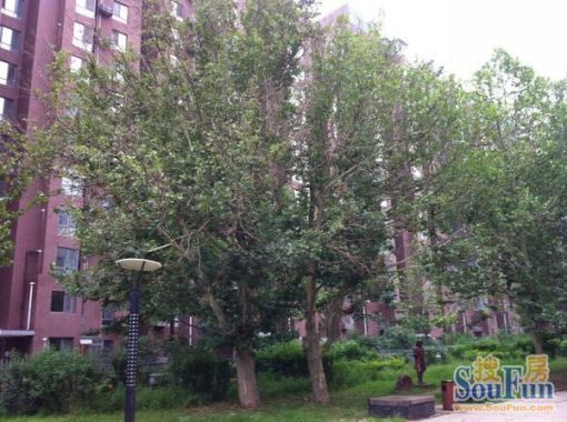嘉铭桐城3室2厅2卫东南朝向12500.00元/月出租
