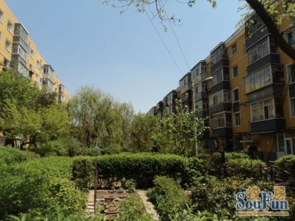 【长春绿园小区小区,二手房,租房 长春房天下