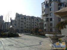 中拥蓝天下 头排东边户 一线海景 视野好