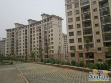 华通一期 和平公园 标准一室一厅 南北通厅通风好