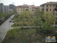 唯美品格,电梯洋房,采光好,近八十