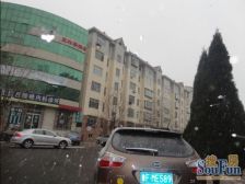 金东小区 多层三楼 两室全明户型 带小棚