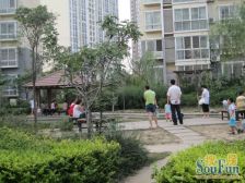 商业配套齐全 小区绿化高 商品房 交通便利 临地铁 电梯房