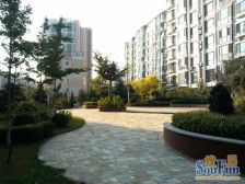 闹中取静小区,楼层位置好,南北通透 精装修