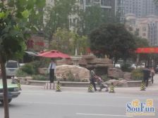 有本,出租,满五年,业主诚心出售