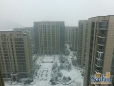 市政府 海尔绿城玫瑰园 精装两室 带院 有车位地下室