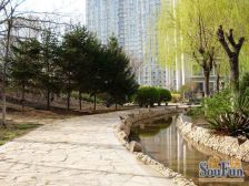 和平广场正规跃层小区前排光线视野无遮挡实际400平