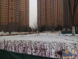 全天采光,没有任何遮挡,业主靠谱出售