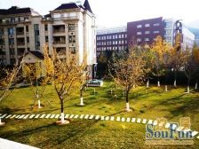 道边第二排 给车库 多层电梯洋房 没有遮挡 全天光线