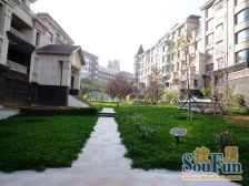 电梯洋房4楼,实130平,采光好,3室,秀月44绿城物业