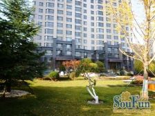 前排全天采光,改善大宅,实205平,4室2卫,视野开阔,