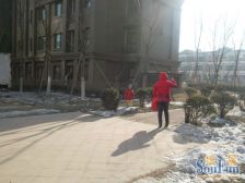 私享静谧天地,中海紫御东郡别墅的优雅格调