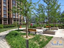 高楼层采光好精修2014年社区有钥匙精装修有钥匙