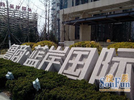 鲁商蓝岸国际