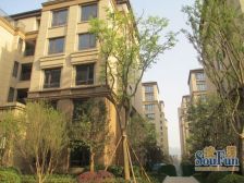 金科廊桥水乡精装两房 户型方正 视野开阔 环境优美