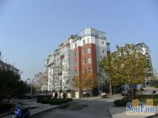 房子是跃层 5跃6 3室 两厅两卫 使用面积大