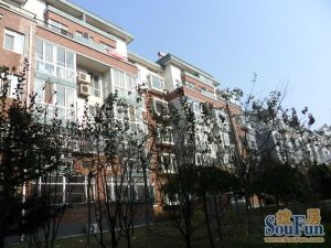 鑫馨佳园两室两厅南北通透出入方便封闭小区采光充足