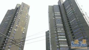 科学家公寓两室户型,采光好,户型方正