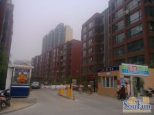 北龙湖西侧 标准一居室 出门双地铁2/4号线