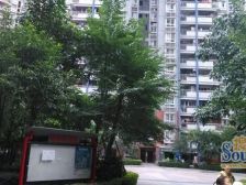 大坪 嘉华鑫城一房60万