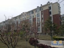 中庚香海小镇 3室1厅 南 北