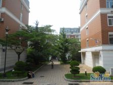 西安路 封闭小区 低楼层 精装四室