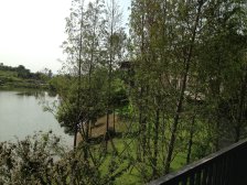 蔡家 首钢美利溪镇玺悦五房192万