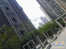 美景鸿城一期 4室2厅 南 北