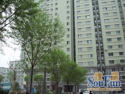 馆驿街新区 3室 1厅 88.99平米