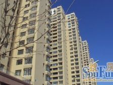 龙王塘一号 南向户型中上楼层海景房