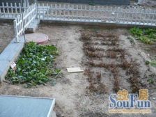 :友谊大厦有暖气 一室一厅 采光好 交通便利 精装