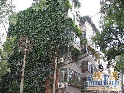 长椿街感化胡同2室1厅1卫南北朝向6800.00元/月出租