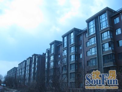 西湖俪景1室1厅1卫南朝向800.00元/月出租